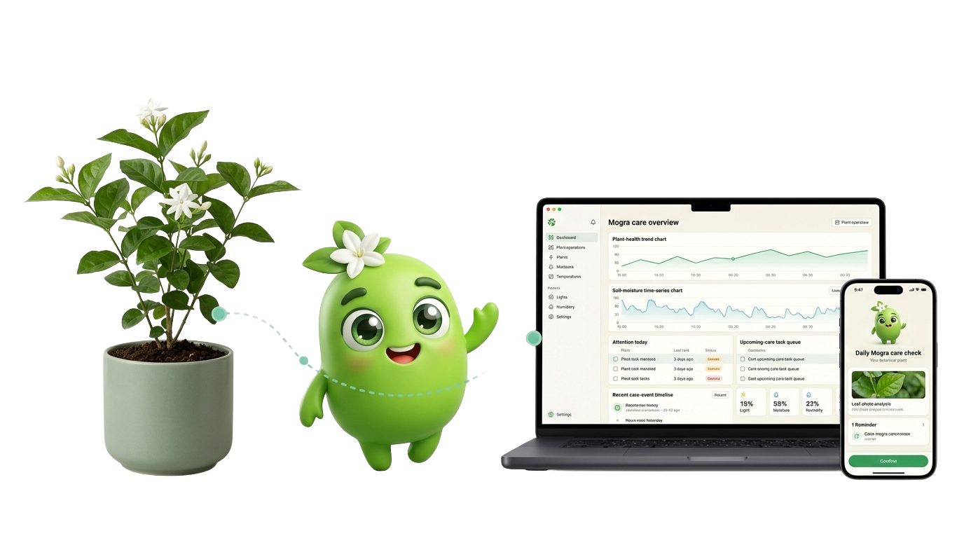 A sacred jasmine plant becoming its Digital Twin, with care tracking on a laptop and phone